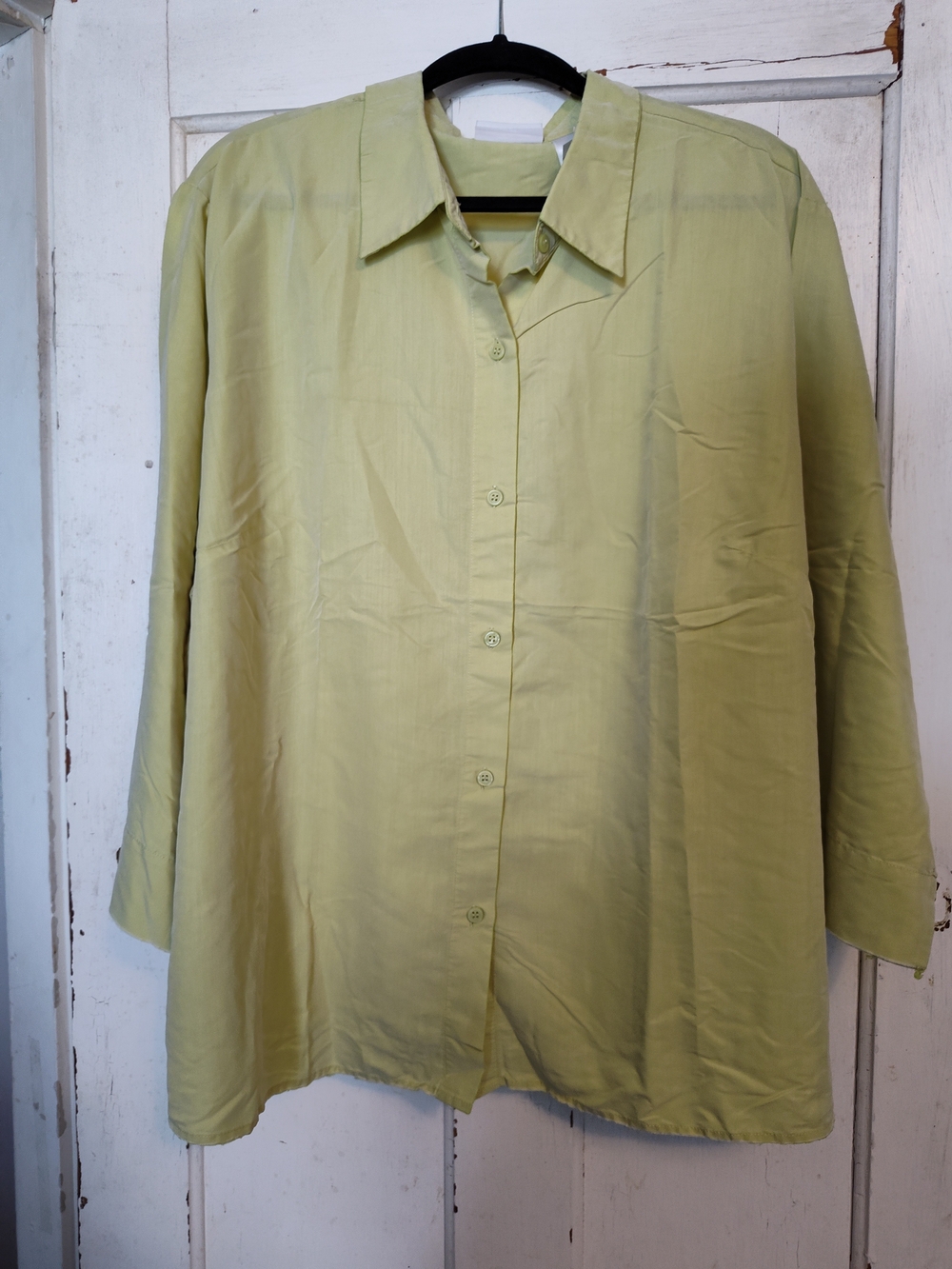 Liz Claiborne Pale Green Women's Button-Down Shirt